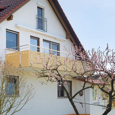 Enderle Apartment อูลดิงเงน มึลโฮเฟิน ภายนอก รูปภาพ